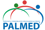 logo palmed colored